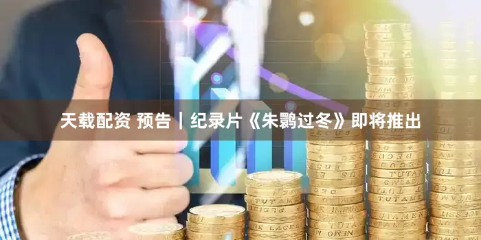 天载配资 预告｜纪录片《朱鹮过冬》即将推出