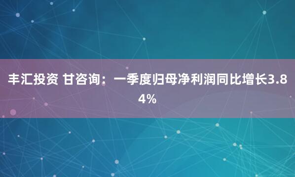 丰汇投资 甘咨询：一季度归母净利润同比增长3.84%