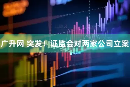 广升网 突发！证监会对两家公司立案